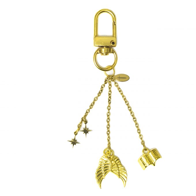 Wings KeyCharm Zodiac Academy with golden wings, stars, and book