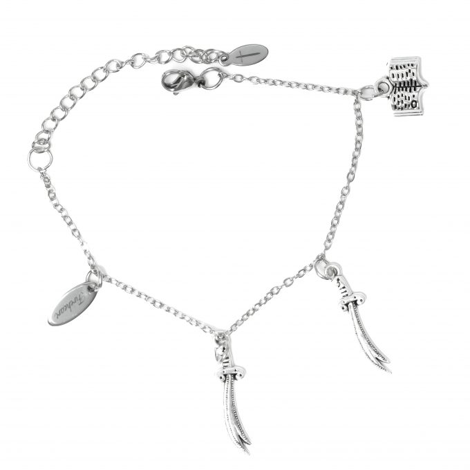 Silver twin blades and book